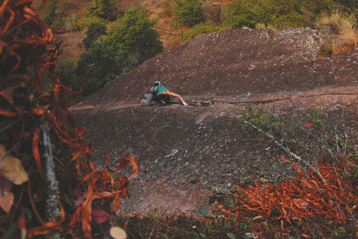 图片默认标题_fororder_4