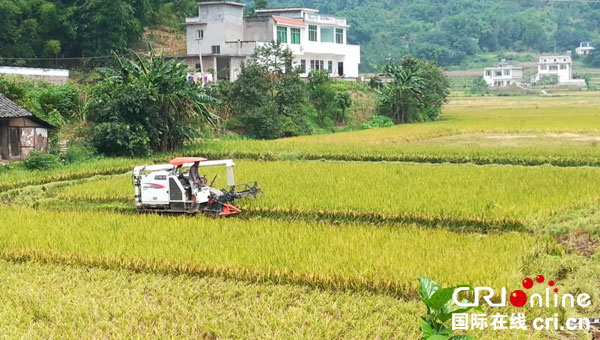 图片默认标题_fororder_江安县农担公司助农业生产现代化发展1