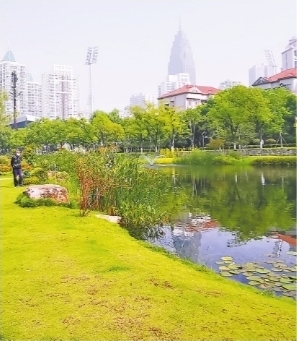 武汉小微湿地总面积相当于298座园博园