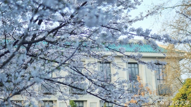 图片默认标题_fororder_634fd979gy1gcow00mjeij240b296b2c