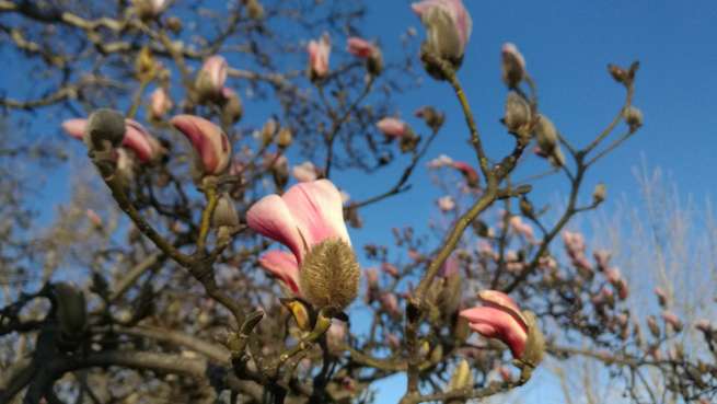 图片默认标题_fororder_WeChat Image_20200311000530