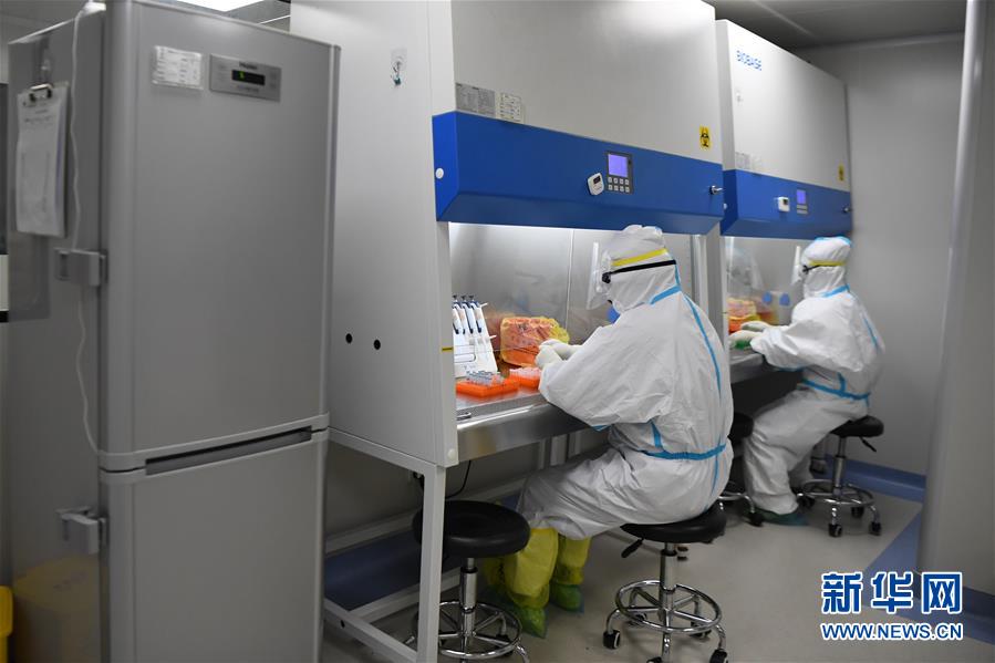 #新华网#探访第三方核酸检测机构