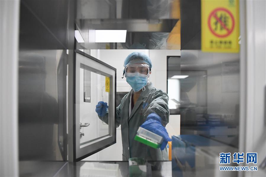 #新华网#探访第三方核酸检测机构