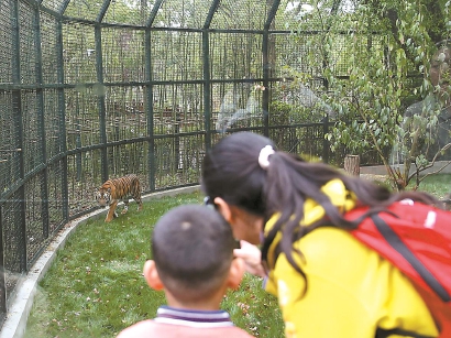 上海动物园乡土动物区开放