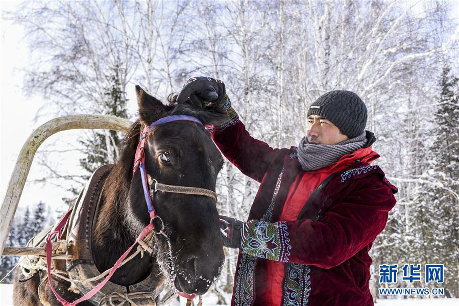 “马的士”驰骋在新疆雪乡