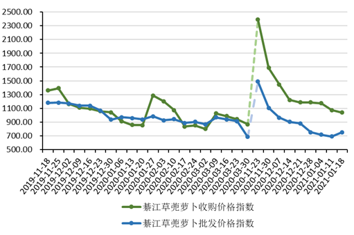【B】重庆綦江草蔸萝卜价格走势趋稳 受全国蔬菜普涨行情影响较小