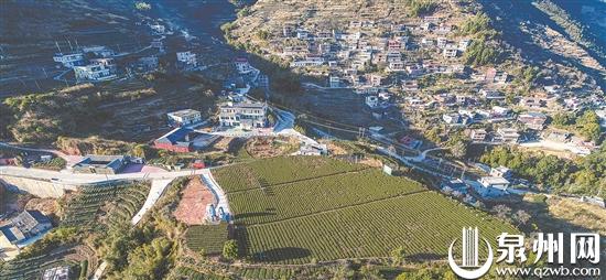 省级贫困村走上乡村振兴之路 石山村“变形记”