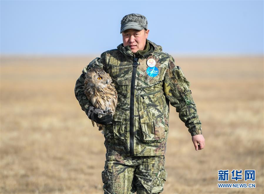 呼伦湖畔的野生动物守护者 呼伦湖畔的野生动物守护者