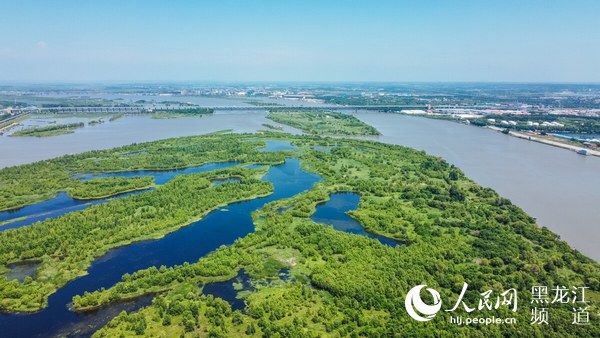 黑龙江省拥有国际湿地城市1个 国际重要湿地10处