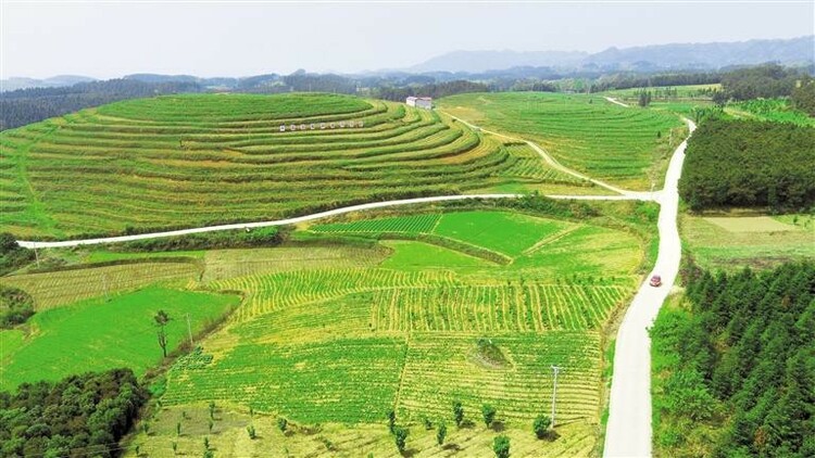 (中首)贵州公路铺筑山区幸福大道_fororder_路