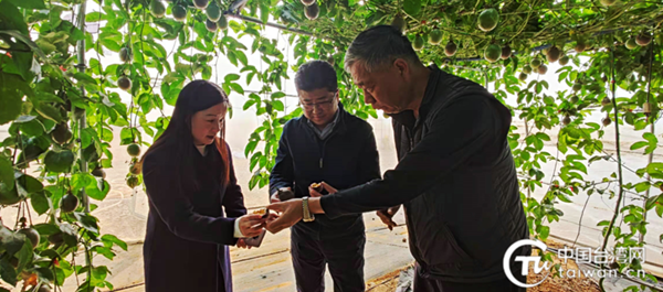 广西崇左市开展台商台胞“迎新春·送祝福”慰问活动