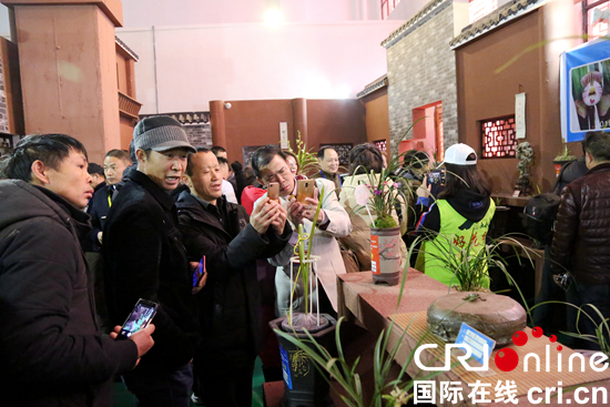 贵州黔南：第二十九届中国兰花博览会开幕