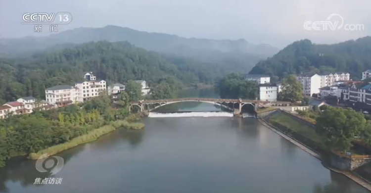 焦点访谈丨人不负青山 青山定不负人