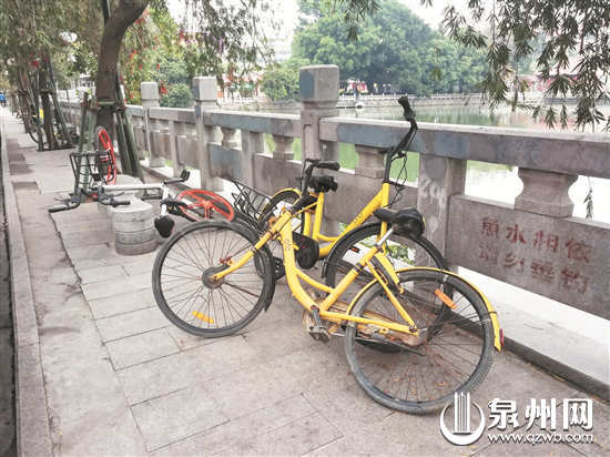 【舆情主推】【泉州】【移动版】【Chinanews带图】泉州市区共享单车乱象回潮 市民呼吁加强整治