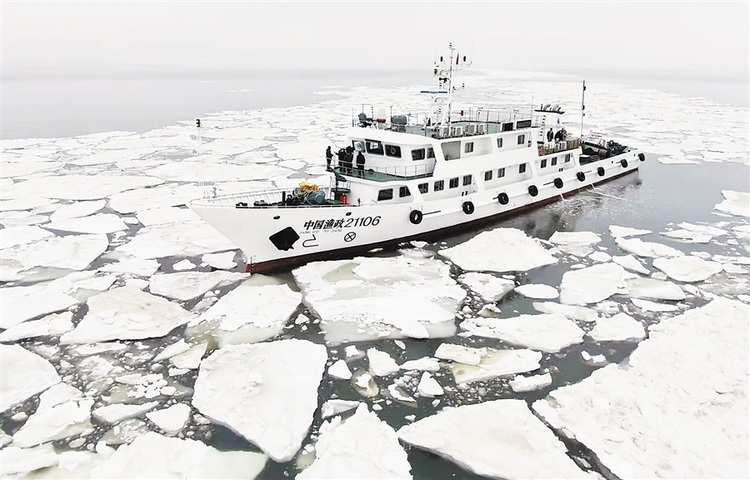 大连：一路“寻冰” 为斑海豹护航