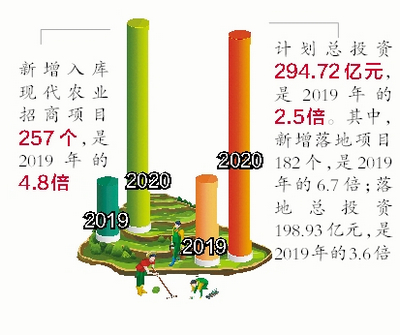 厦门高质量实施乡村振兴战略 典型经验在全省推广