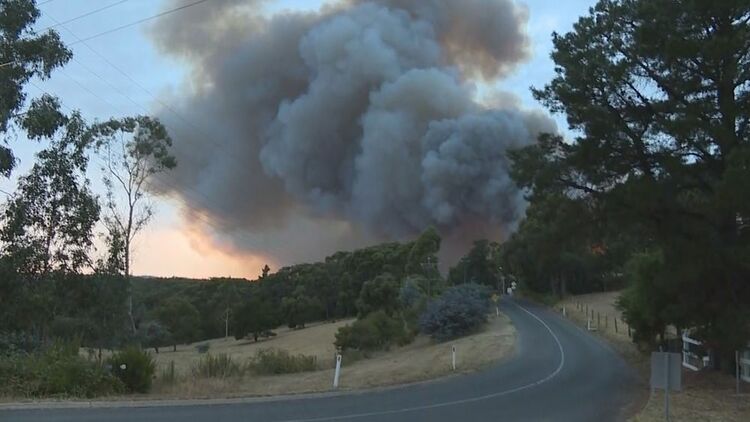 澳大利亚南部山火肆虐 多地居民被迫撤离
