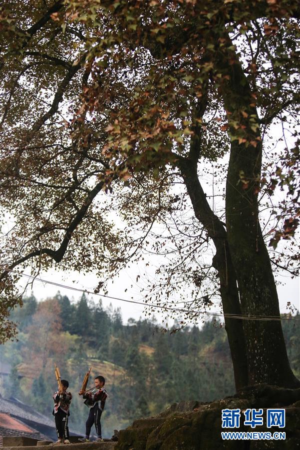 广西融水:芦笙飞扬冬日苗乡 广西融水:芦笙飞扬冬日苗乡