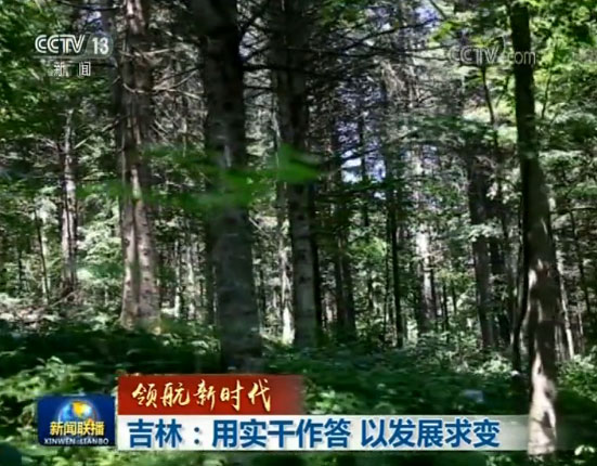 图片默认标题 图片默认标题_fororder_jilin55