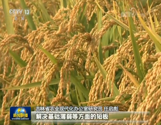 图片默认标题 图片默认标题_fororder_jilin22