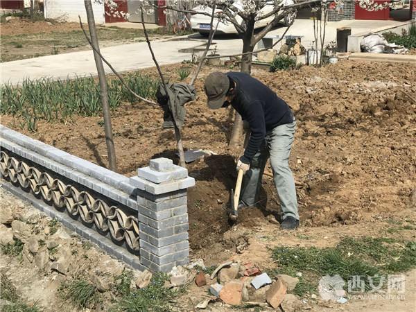 长安区引镇街道种植花卉苗木建设最美“花园乡村”