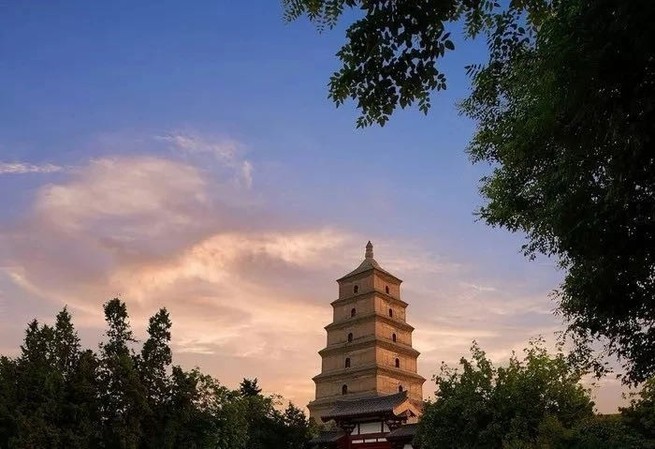 图片默认标题_fororder_7