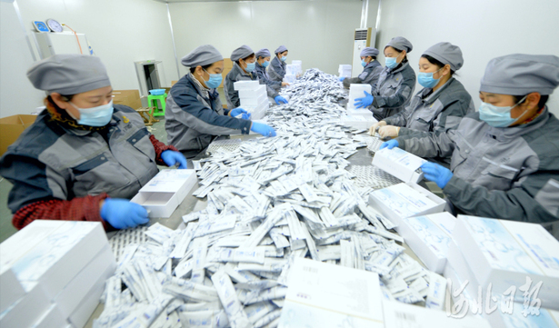河北安国：中药材产业链不断延伸