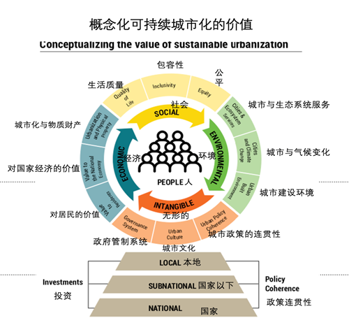 梅里·马达沙希：城市可持续发展的中国模式