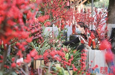 新奇花卉多造型喜洋洋 厦门花市披上节日“盛装”