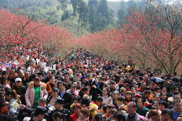 河池环江：桃花节引来上万人踏春