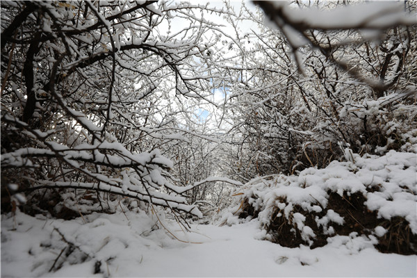 阿坝州马尔康市迎来2021年第一场雪