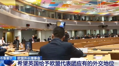 欧盟外长理事会 希望英国给予欧盟代表团应有的外交地位