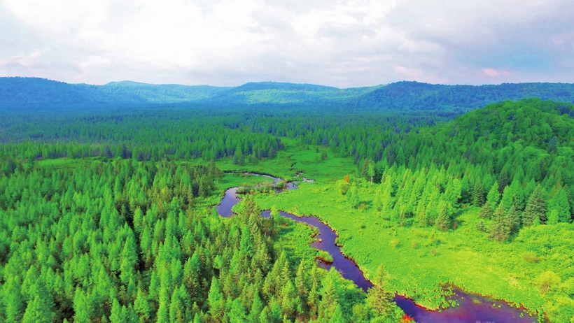 吉林省森林生态服务功能价值8899亿元