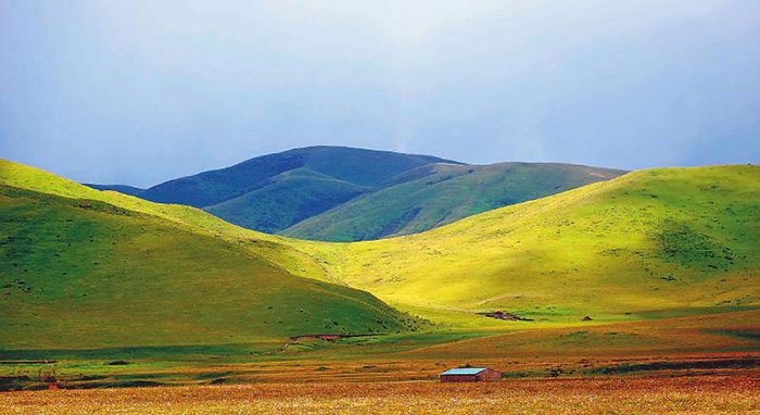 图片默认标题_fororder_2