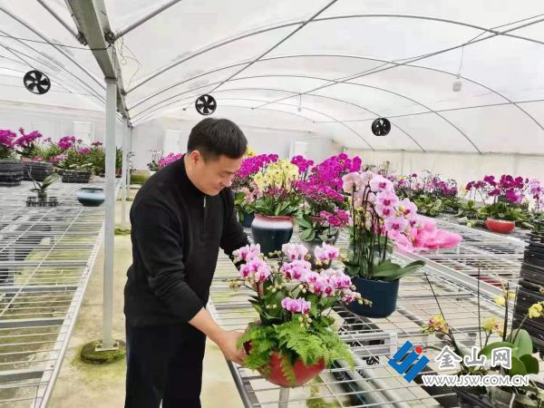 【新春走基层】以花为媒，走出美丽农业路