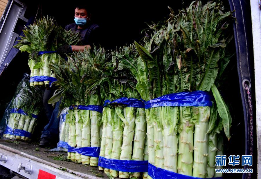 河南春节市场农产品供应充足