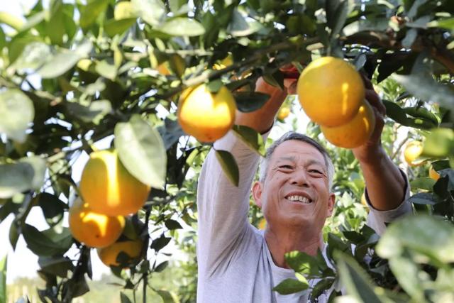 2021年1月27日放送のお便り紹介_fororder_0127-4