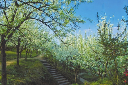 （焦点图，导航成都，移动端）这个春天走进成都 看美丽宜居公园城市的“新春表达”