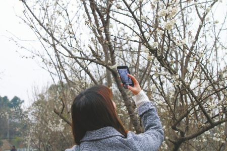 （焦点图，导航成都，移动端）这个春天走进成都 看美丽宜居公园城市的“新春表达”