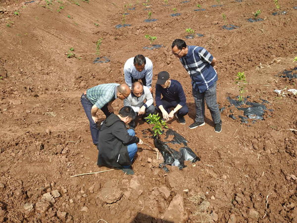 图片默认标题_fororder_茶果抗旱保苗突击队指导抗旱生产-区农业农村局供图