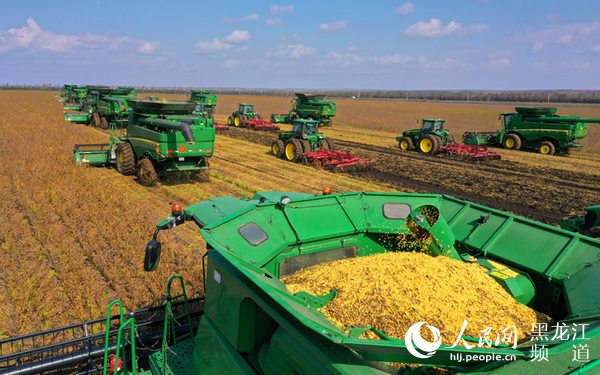 筑牢粮食安全“压舱石” 中华大粮仓“十七连丰”