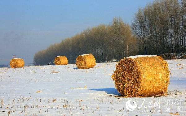 筑牢粮食安全“压舱石” 中华大粮仓“十七连丰”
