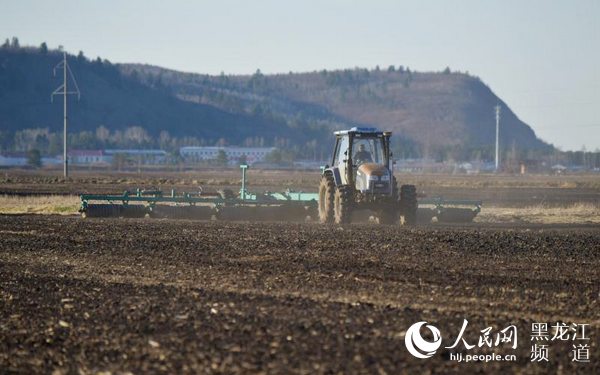 筑牢粮食安全“压舱石” 中华大粮仓“十七连丰”