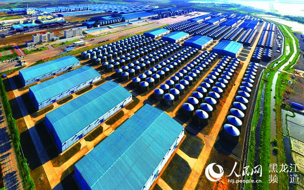 筑牢粮食安全“压舱石” 中华大粮仓“十七连丰”