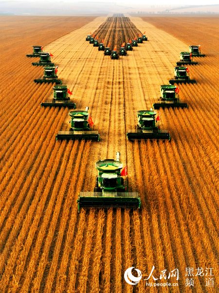 筑牢粮食安全“压舱石” 中华大粮仓“十七连丰”