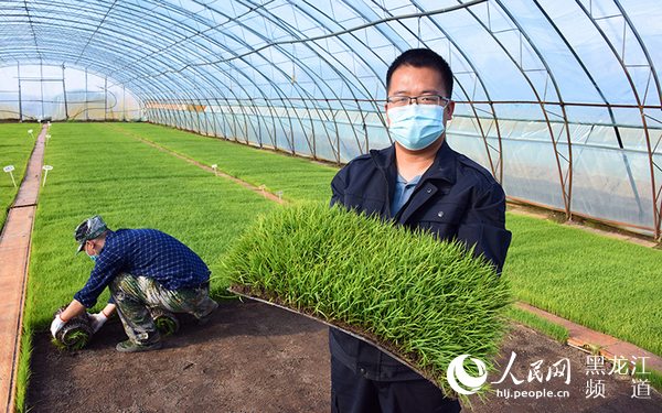 筑牢粮食安全“压舱石” 中华大粮仓“十七连丰”