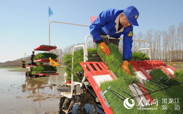 筑牢粮食安全“压舱石” 中华大粮仓“十七连丰”