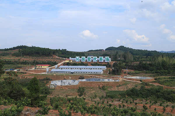 图片默认标题_fororder_1