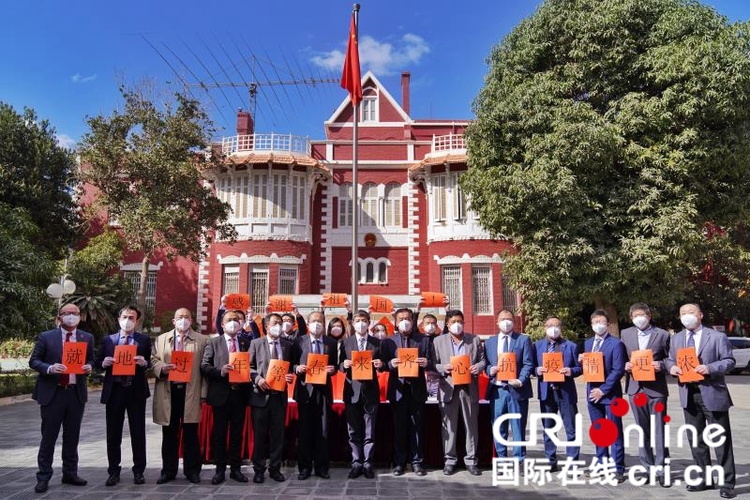 中国驻埃及使馆向旅埃侨胞和留学生发放“春节包”_fororder_yl202101290012