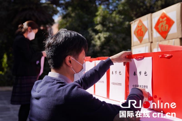 中国驻埃及使馆向旅埃侨胞和留学生发放“春节包”_fororder_yl202101290011